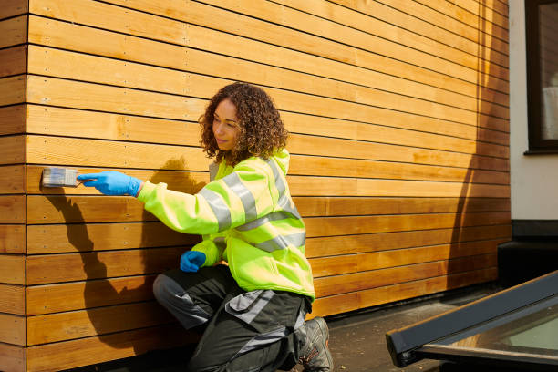 Historical Building Siding Restoration in Galliano, LA